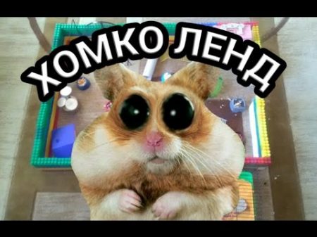 Мандаринчики в диснейленде