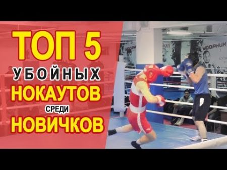ТОП 5 Убойных НОКАУТОВ среди новичков