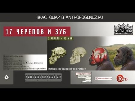 17 черепов и зуб Экскурсию по выставке ведёт Станислав Дробышевский