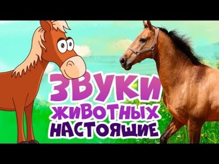 ЗВУКИ ЖИВОТНЫХ для самых маленьких развивающие мультики для детей как говорят животные