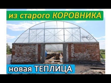 Строительство теплицы из старого коровника по последним энергосберегающим технологиям