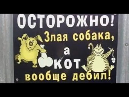 Лютые объявления Мегаподборка с канала Макс Максимов Осторожно злая собака а кот вообще ДЕБИЛ !!!
