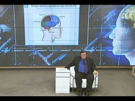 Вселенная мозга Медведев Святослав