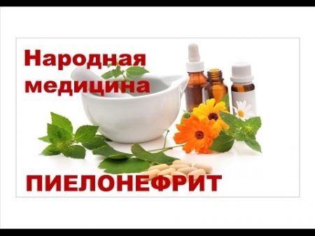 Как лечить пиелонефрит народными средствами