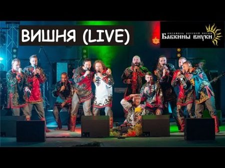 Бабкины Внуки ВИШНЯ live