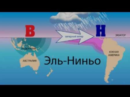 Эль Ниньо и Ла Нинья рассказывает океанолог Владимир Жмур