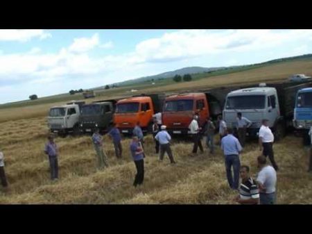 Русская Ивановка в Азербайджане Уборка зерна