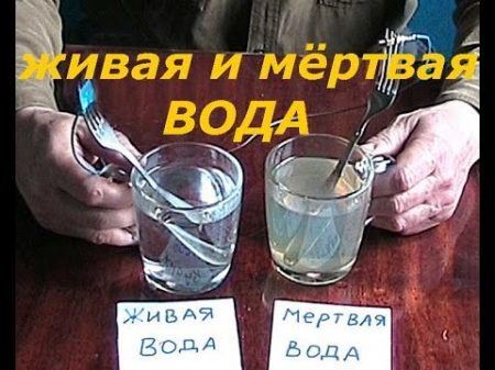 вода живая и мёртвая