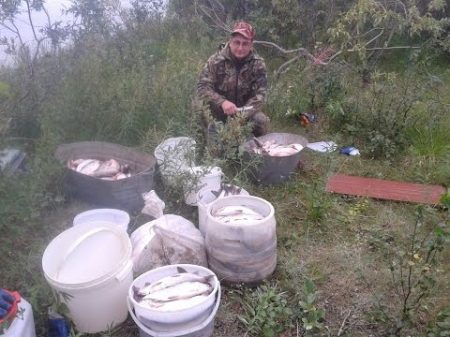 Рыбалка на белую рыбу Вылов рыбы сетями Fishing Nets