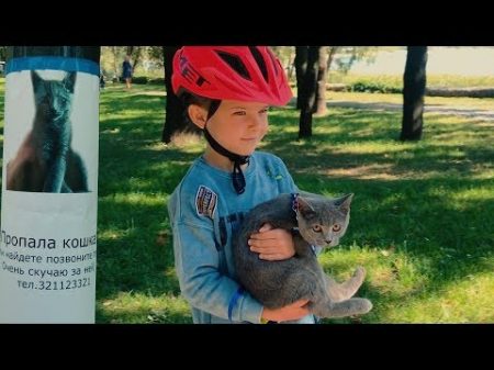 Den found little kitten in the park Video for children