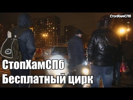 СтопХамСПб Бесплатный цирк