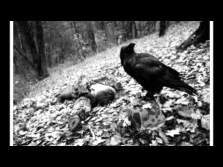 Чёрный ворон Протяжная песня донских казаков