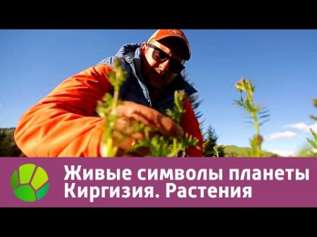 Живые символы планеты Киргизия Растения Живая Планета