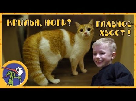 Макс и его друг котик Рыжик играют вместе