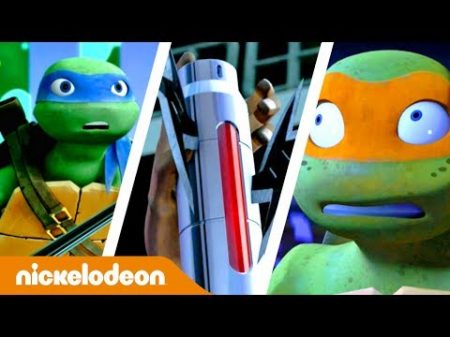 Черепашки ниндзя Международный день черепах Nickelodeon Россия