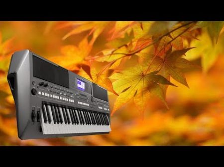 Листья жёлтые над городом кружатся на синтезаторе Yamaha psr s670