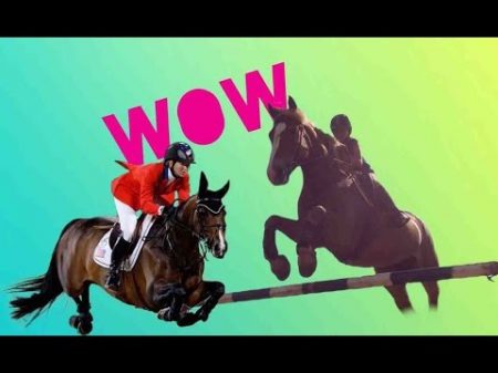 Конкур для начинающих HORSE FAIL WESTERN!!! WATCH IN HD