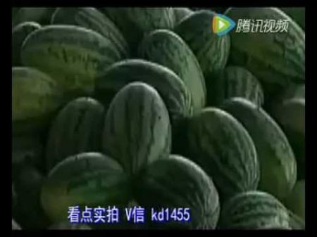 Как делают китайцы арбузов How to do chinese people of watermelons