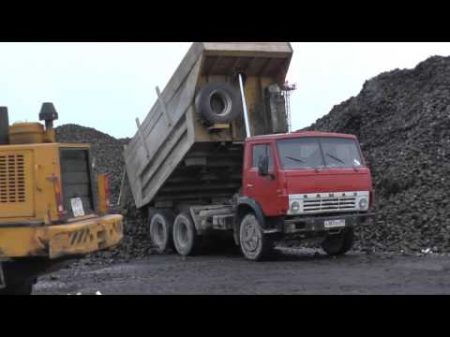 Российские грузовики Камазы на уборке урожая Сахарная свекла Урожай в России
