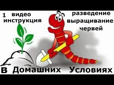 1 Инструкция выращивания червей в домашних условиях Все секреты разведения дождевых червей