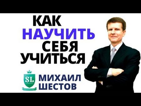 Как научить себя учиться и быстро выучить иностранный язык Фрагмент мастер класса Михаила Шестова