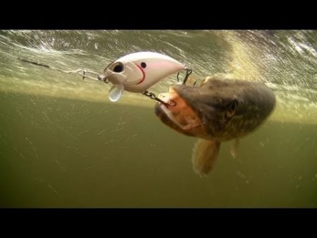 How to catch pike with DUO fishing lures for bass muskie perch Рыбалка щука на воблер