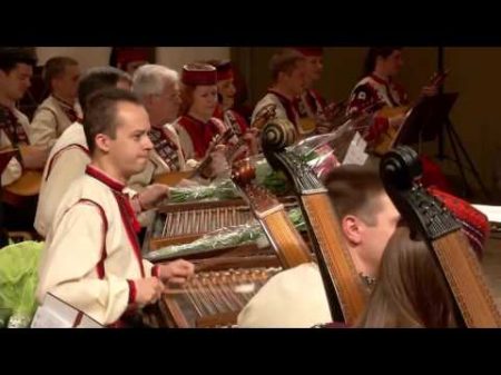 Національний академічний оркестр народних інструментів Адель Rolling in the deep