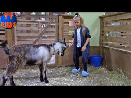ВЛОГ Контактный Зоопарк для детей Ярославу ударила Коза Кормим гладим играем с животными