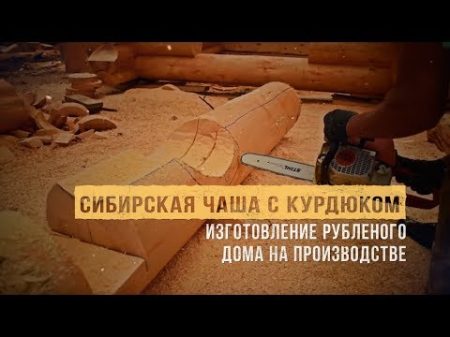 Сруб сибирская чаша с курдюком Гидрообработка бревна Изготовление рубленого дома на производстве