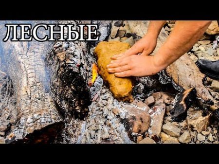 Дикая кухня РЫБА В ГЛИНЕ Steamed Fish In Clay