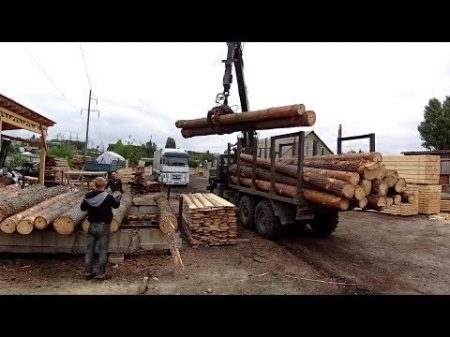 УСПЕТЬ ЗА 12 ДНЕЙ ВЕРНУТЬСЯ ДОМОЙ! начало 89