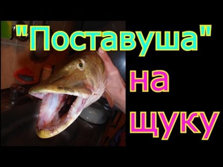 Как сделать и забросить снасть Поставуша для ловли щуки и окуня My fishing