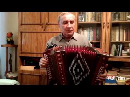Страдания гармонь Наталенко Владимир Павлович