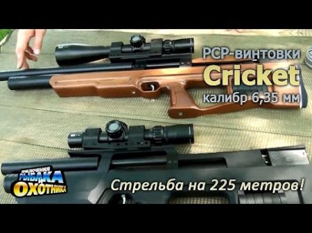 Пневматика Cricket и стрельба на 225 метров