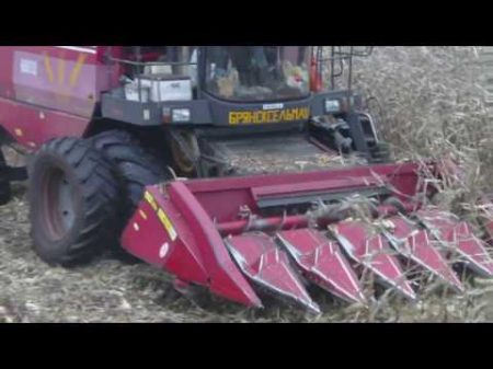 Кукуруза на зерно на арочных колёсах GS12 ноябрь 2016