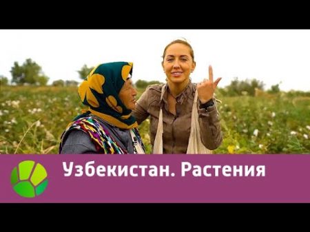 Узбекистан Растения Живые символы планеты Живая Планета