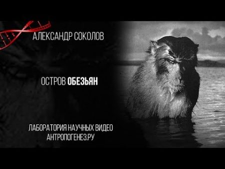 Александр Соколов Остров Обезьян