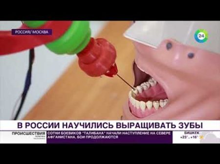 Российские ученые научились выращивать зубы МИР24