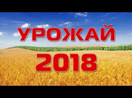 Урожай 2018 Динской район
