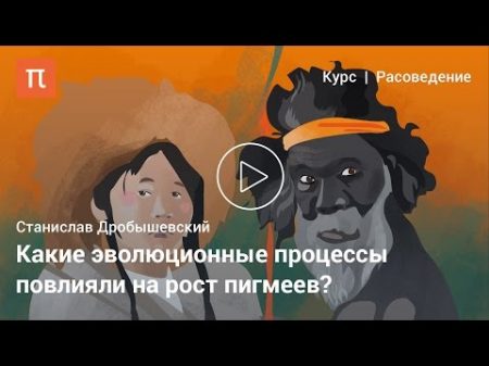 Пигмеи и бушмены Станислав Дробышевский