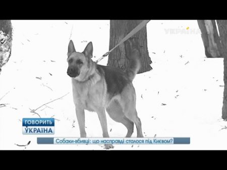 Собаки убийцы что на самом деле произошло под Киевом полный выпуск Говорить Україна