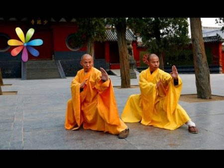 Секрет продления молодости и долголетия тибетских монахов! Все буде добре Выпуск 696 от 29 10 15