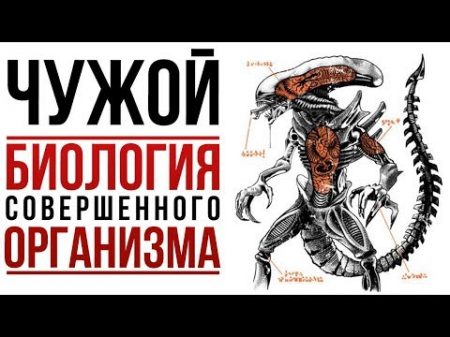 Чужой БИОЛОГИЯ совершенного организма