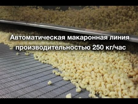 Макаронная линия производительностью 250 кг час