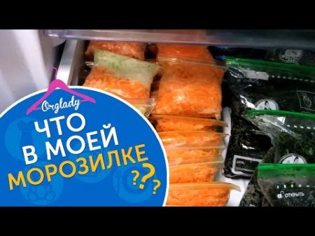 Что в моей морозилке Организация и хранение в морозильной камере