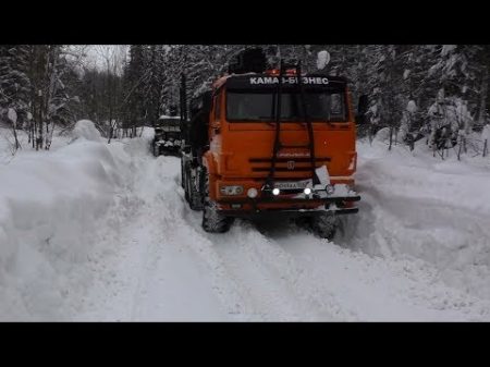 Гонки на Лесовозах Опасные лесные дороги Урал Камаз