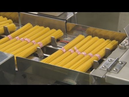 THE MAKING English Version 312 The Making of Spaghetti and Macaroni