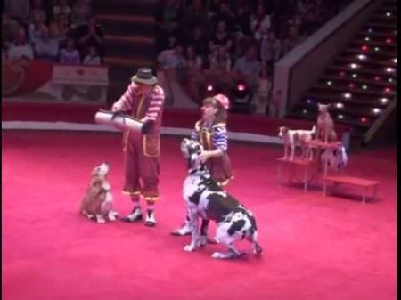 Yakuboskie ru DogShow Clowns with dogs Moscow Circus Клоуны с собачками
