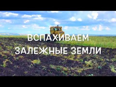 Уборка урожая Вспашка Целины МТЗ и Т150 в работе