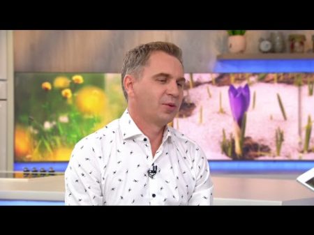 Сніданок після Сніданку Олександр Авраменко